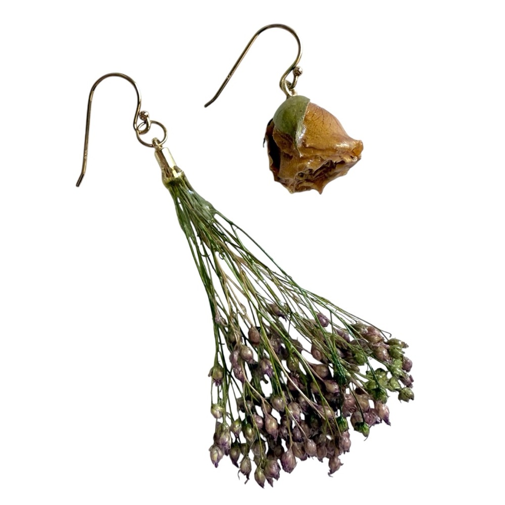 Dauphinette Preserved Flower Earrings Buttercup Rosebud Purple Wisteria